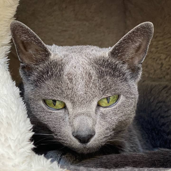 D310ba72 f1c8 478a bec8 0d32de668171 1612407831331