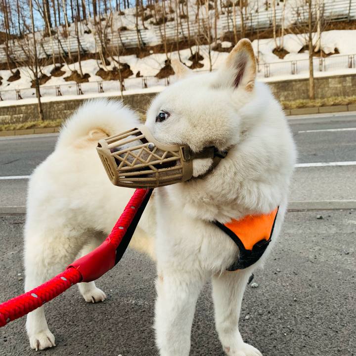 D310c368 cd32 46c4 a1f1 32ee9cba5214 1649453638931