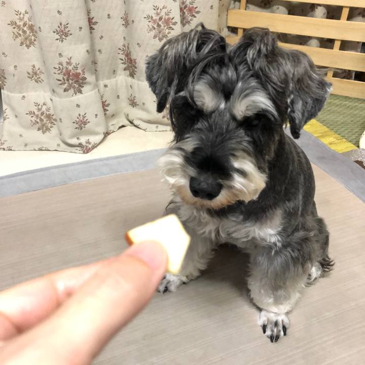 D310f21c 1923 41f3 9151 d8cb36389b17 1632395357610