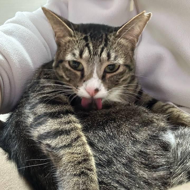 D3110046 a84a 414d 96fe 1311a802d762 1761129837631