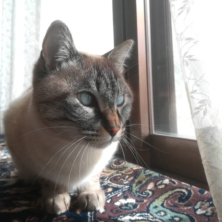 D3112b24 e6cf 4255 98c5 0131784126aa 1516772905402