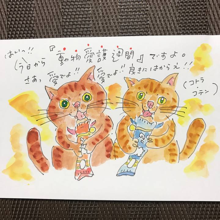 D3114043 c51c 44eb ad49 4d465b734748 1537434402729