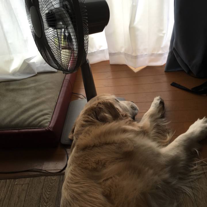 D31156dc 3aca 47b9 9e1e e70b18083a7b 1526697802278