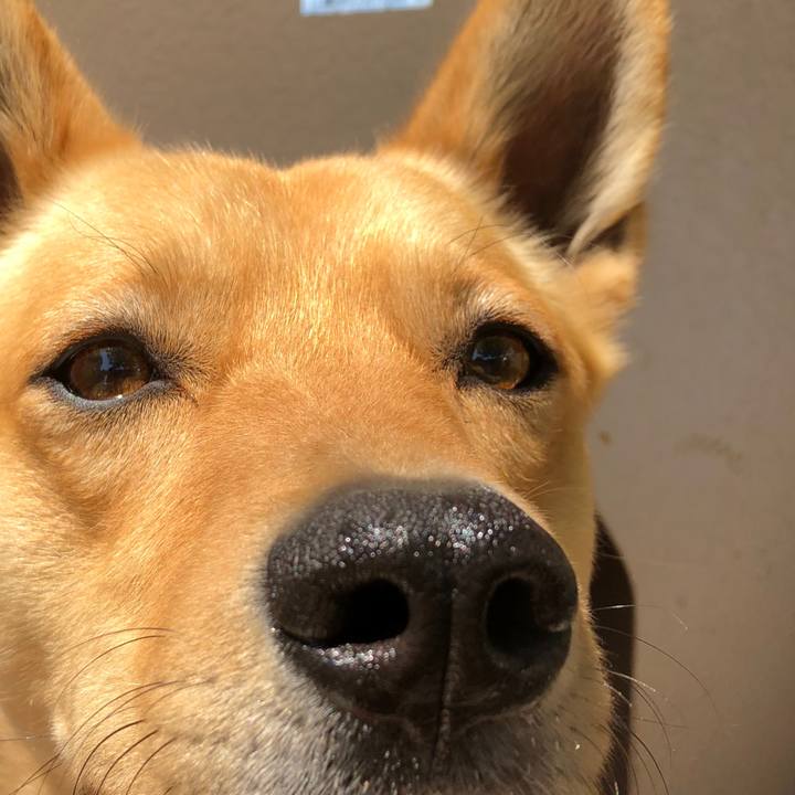 D3119697 f070 4875 94f4 fac505057990 1523586878590