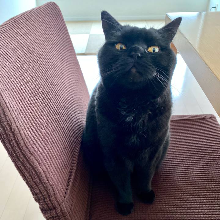 D311ea85 ed42 4e07 8677 312e682c3290 1683360573771