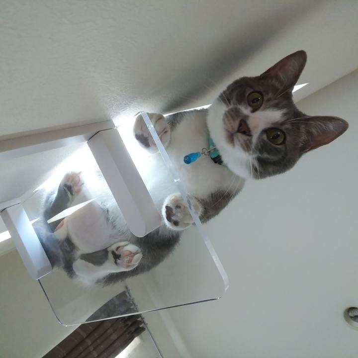 D311eb2d 0233 4461 aee2 bc6ab61ba131 1591691609300