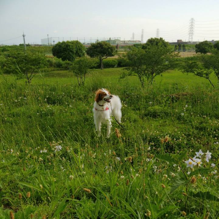 D311f9ec 339a 4227 9574 d3567f746597 1560425795595