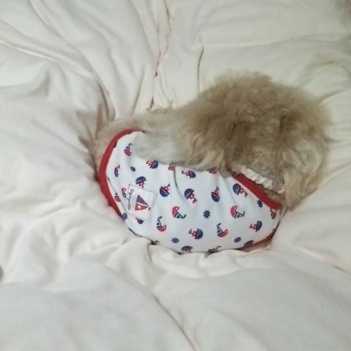 D3120dc9 968d 4a6b b570 37078c90089a 1527167878511