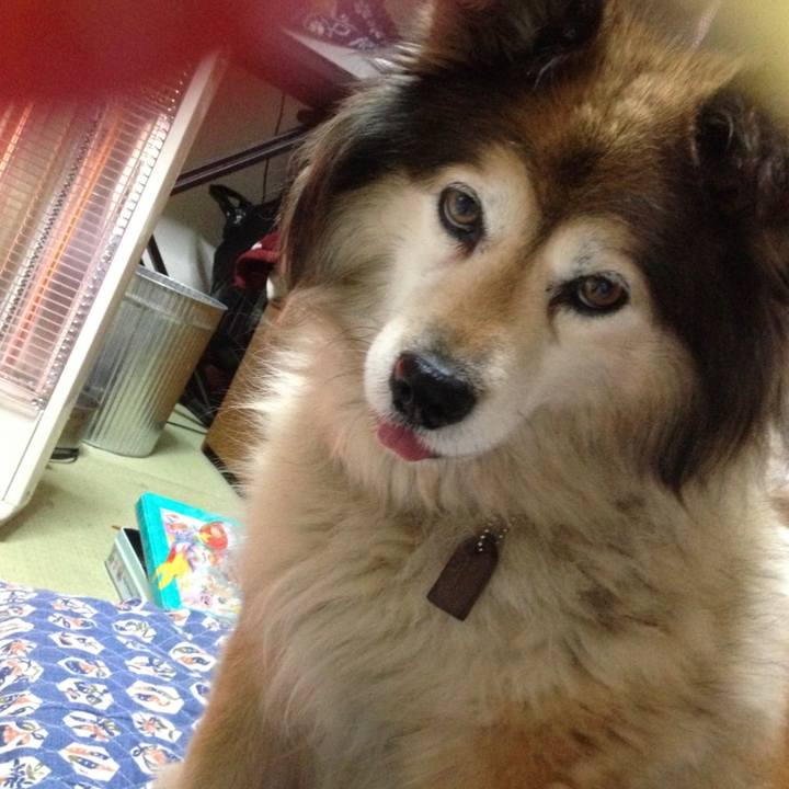 D3123d76 235a 42a0 bde7 cf92c1fe009a 1561447917685