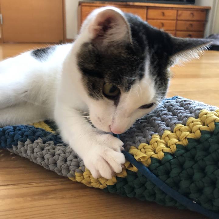 D3124d92 6989 4981 ba61 075883e775c7 1601275040880