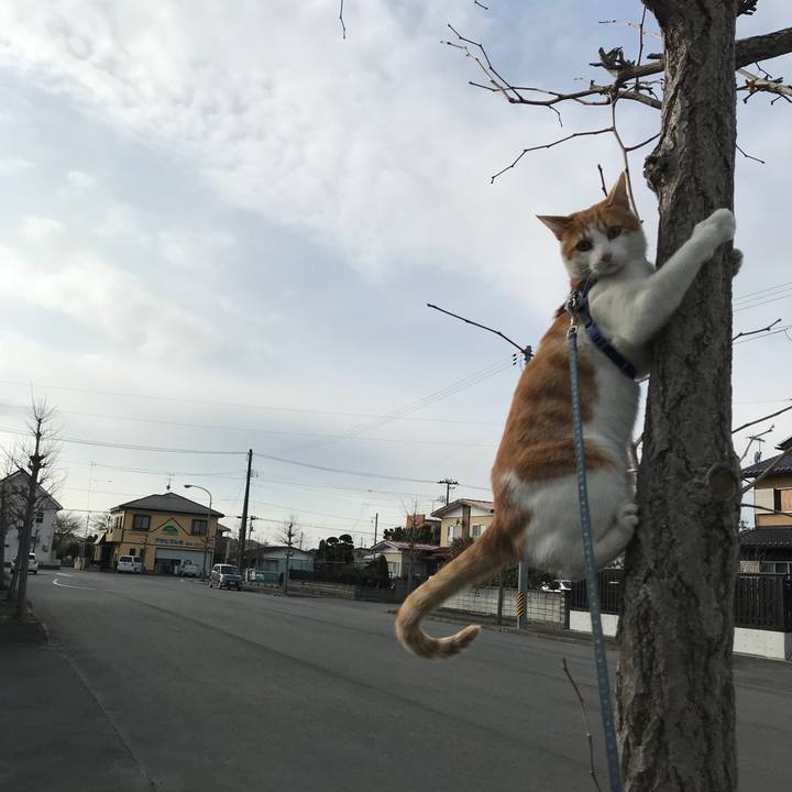 D3128913 a92b 434f 813f 748f0a2c3f40 1516423324052