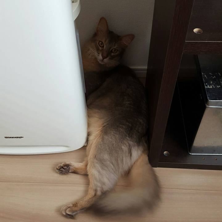 D312fbe3 aeaf 4427 8c74 a0d06e170688 1532231330327