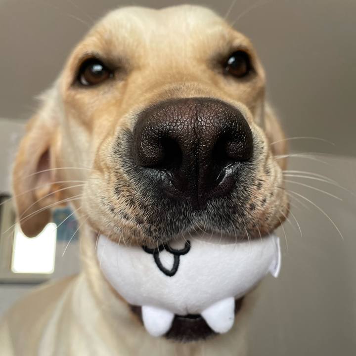 D31329a3 a51b 470d a6e5 7a08e76825fc 1659934296876