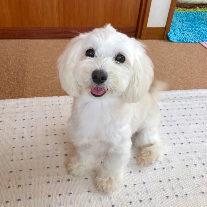 D3132ae2 5235 4687 828a ad6b9496ebf4 1537682315343