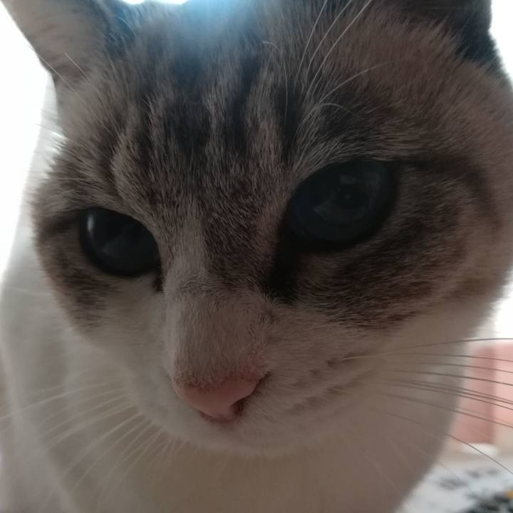 D31347f4 b5a5 4490 9c6a 0448cdaf844a 1540246473422