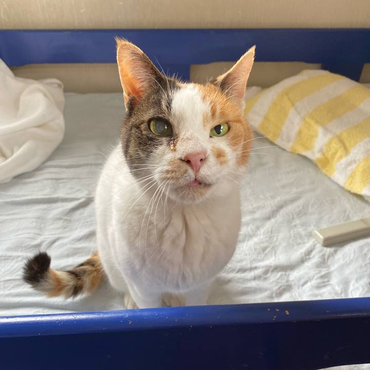 D3138ae7 08f7 4212 a183 91f7c6262bc8 1590117990176