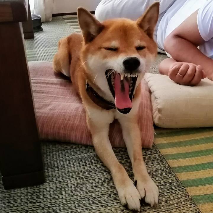 D3138d83 3aa3 48b6 a629 3ef0cbf36464 1597121673900