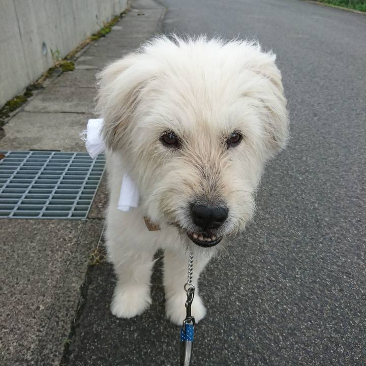 D3139824 0e42 4580 81ec b155fc2a0001 1566550908992