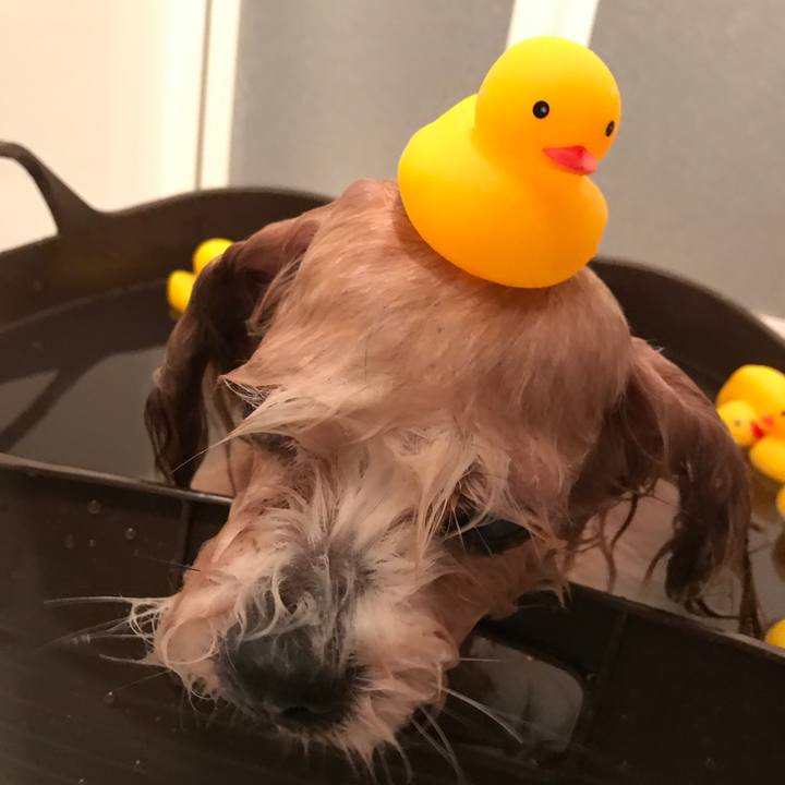 D313a0ca 5344 4b01 bedf dab402f1b607 1521449084474