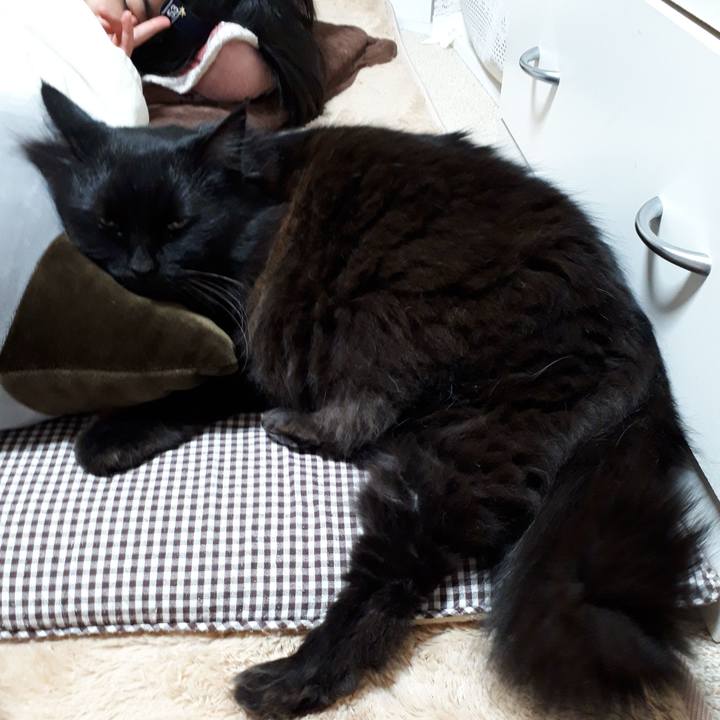 D313cdc4 838a 49ed 8770 534200a466f7 1517303136729