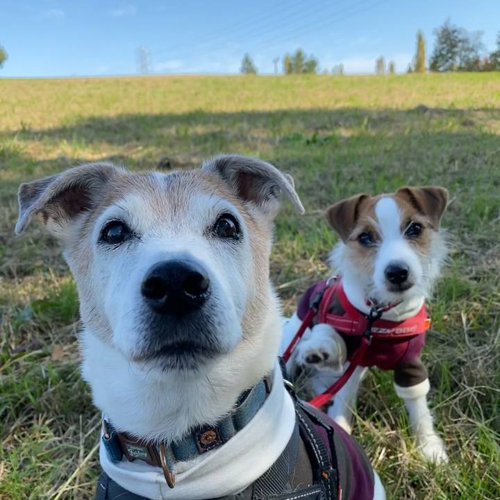 D313dac6 aaca 4026 8a83 dfdd0456711b 1635915353452