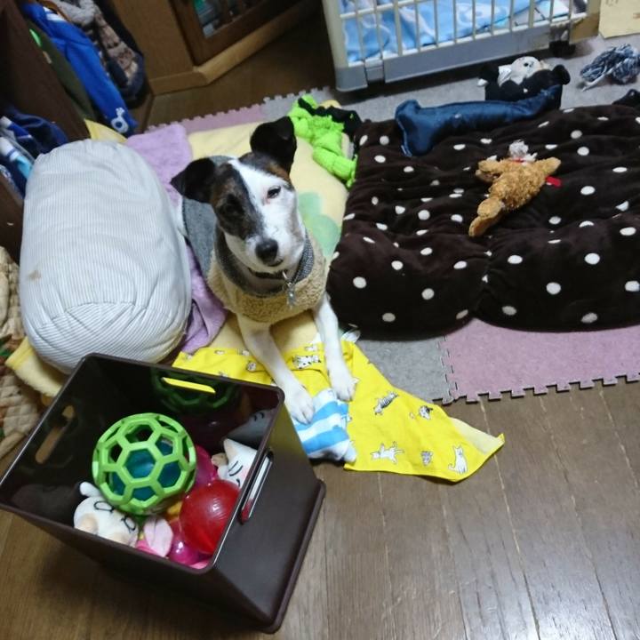 D3140e8f d7c8 4580 97ab e278c973c6ca 1514696695723