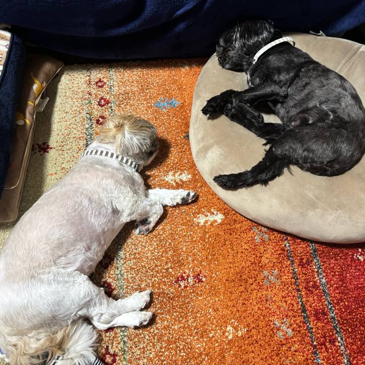 D31413e8 52ab 4f60 a635 552a987cb82f 1747982638244