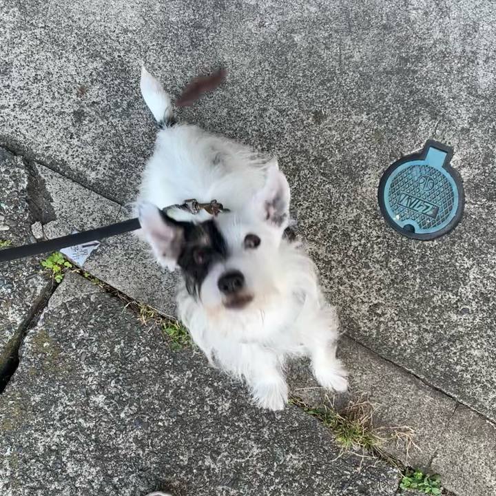 D3143749 b874 4197 8676 0b2bdfb8e1da 1697930378072