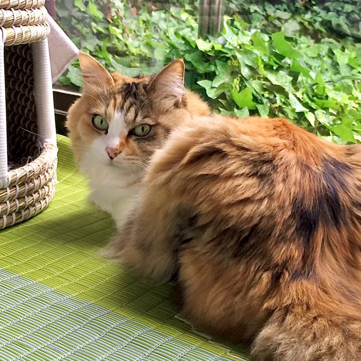 D31438b3 08c1 4b23 a08e cad731559a63 1593416208628