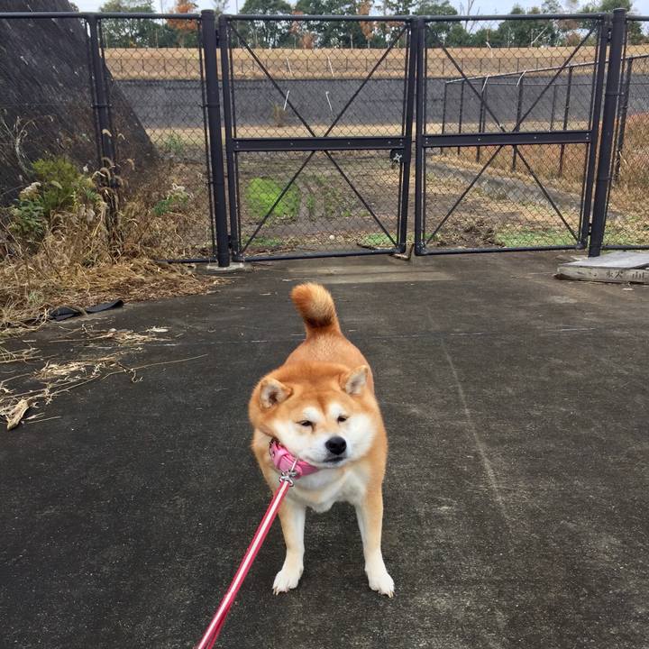 D3143d2e 7342 45a5 a6f5 278caf83f370 1543907012475