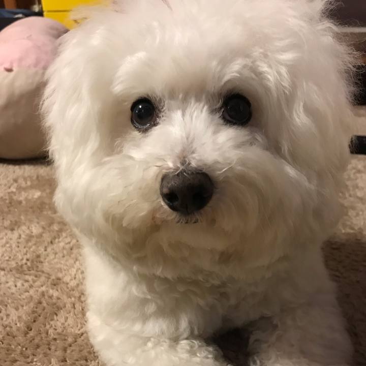 D3143fd0 3780 4b63 8a94 579e8ded546e 1585213425184