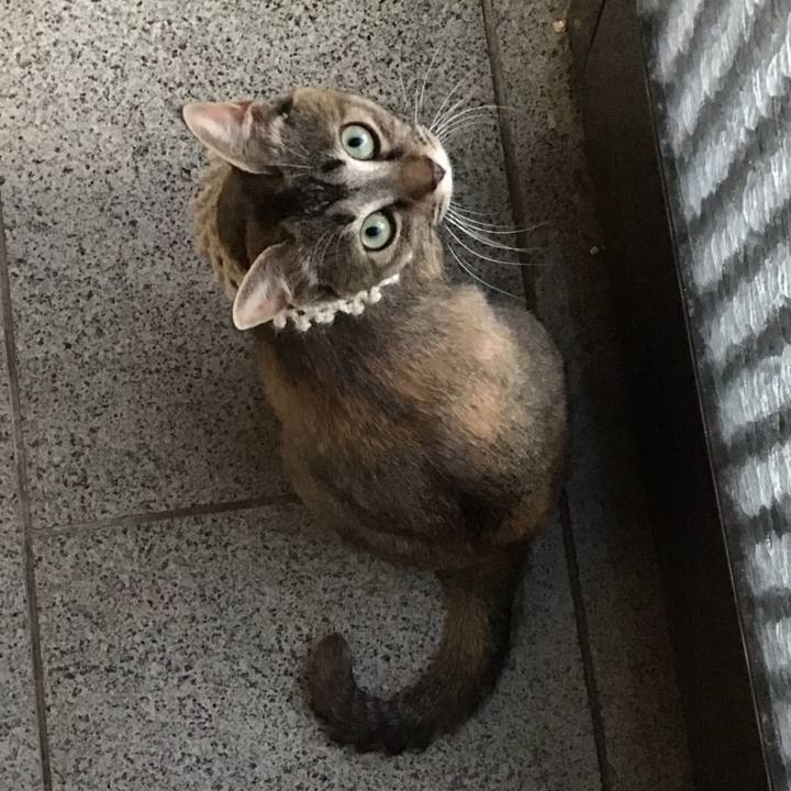 D3144756 a6de 4e6b 9125 fd4922dad384 1589891078759