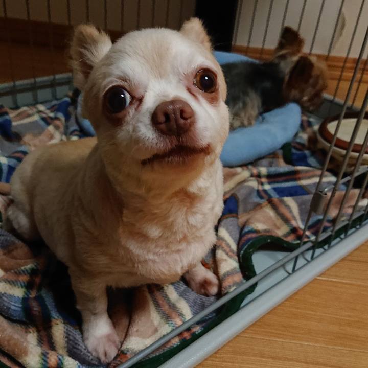 D3146702 c86a 48af 9fda 549b19210749 1563540858325