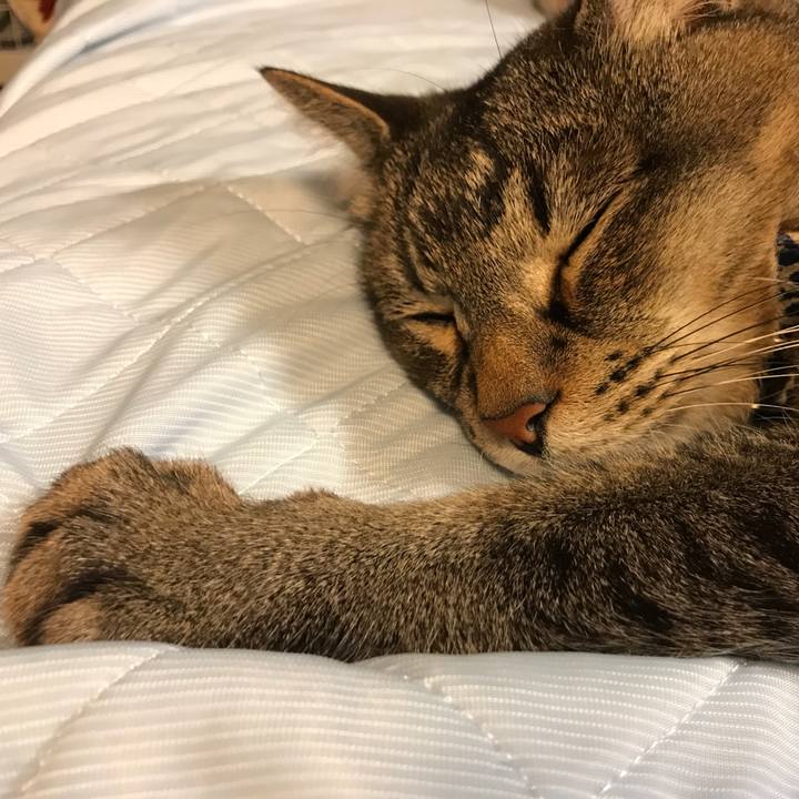 D314852e 0ccc 4144 93fe d767c2a12d9d 1527482487089