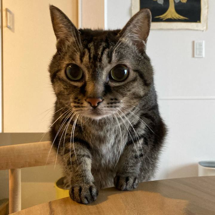 D314d4c3 f7a7 44d4 80ff fa42ed5b8e26 1761442855559