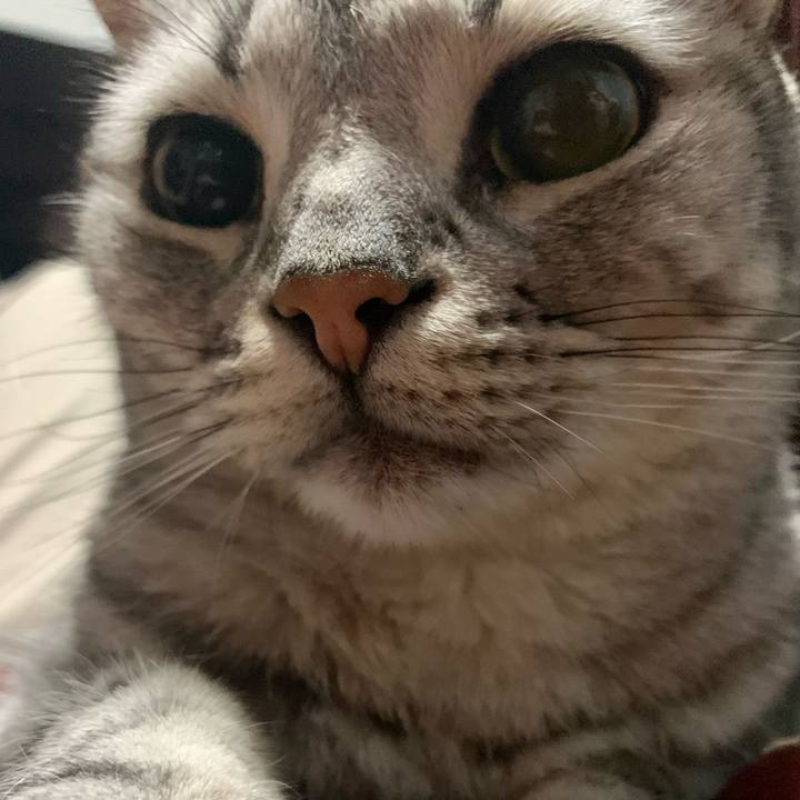 D314e610 0662 43f3 8c93 24086bce1179 1664444547333