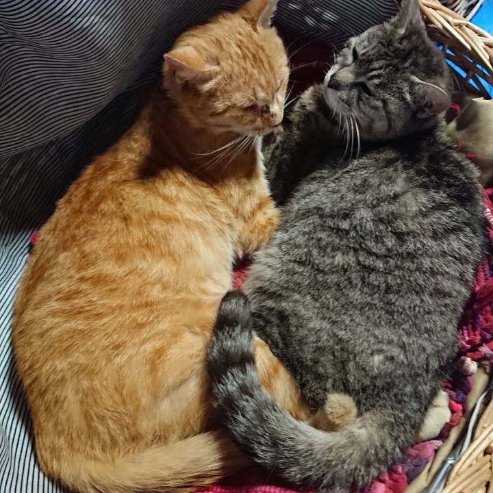 D315490b 5e35 4465 9b04 789312bcd88b 1558860723559