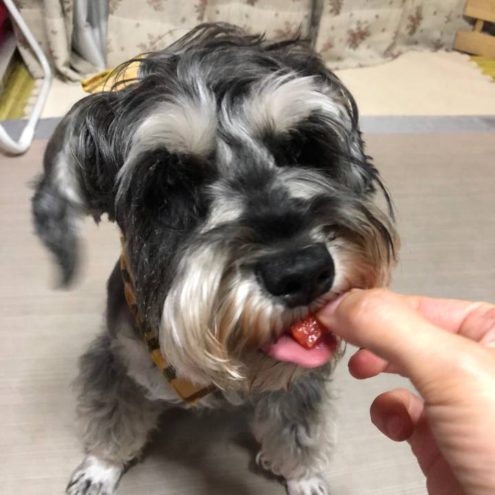 D315aef6 ae86 403e a64e 0b2514dbe985 1627995194698