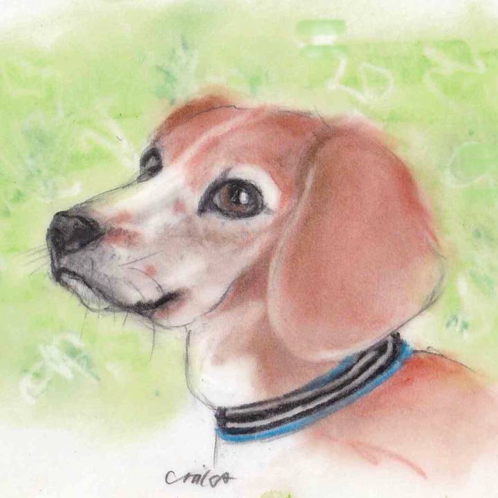 D315b47d 9945 4f07 bfac 9ceec47965ff 1606986372677