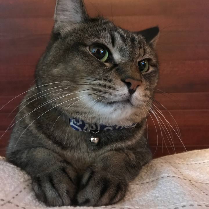 D315cf9c f3d4 477c 8b9b 1e61a8edf50b 1545285939201