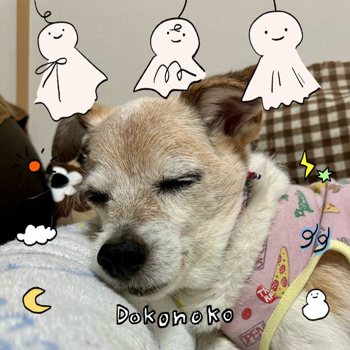 D315e105 b2ee 48a7 a042 fa069855677d 1749207006020