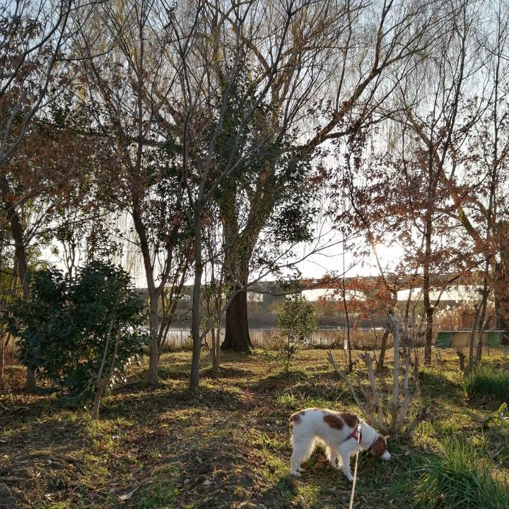 D315e7ba f005 4b00 bf42 9cf6b25212e7 1578053301118