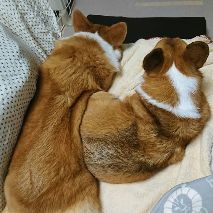 D3161ada efa8 40eb b28b d76b23c7d46c 1524052276406