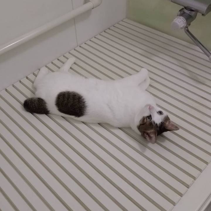 D3167e56 1cc5 4051 bf65 8a5a2a08e475 1757477290916