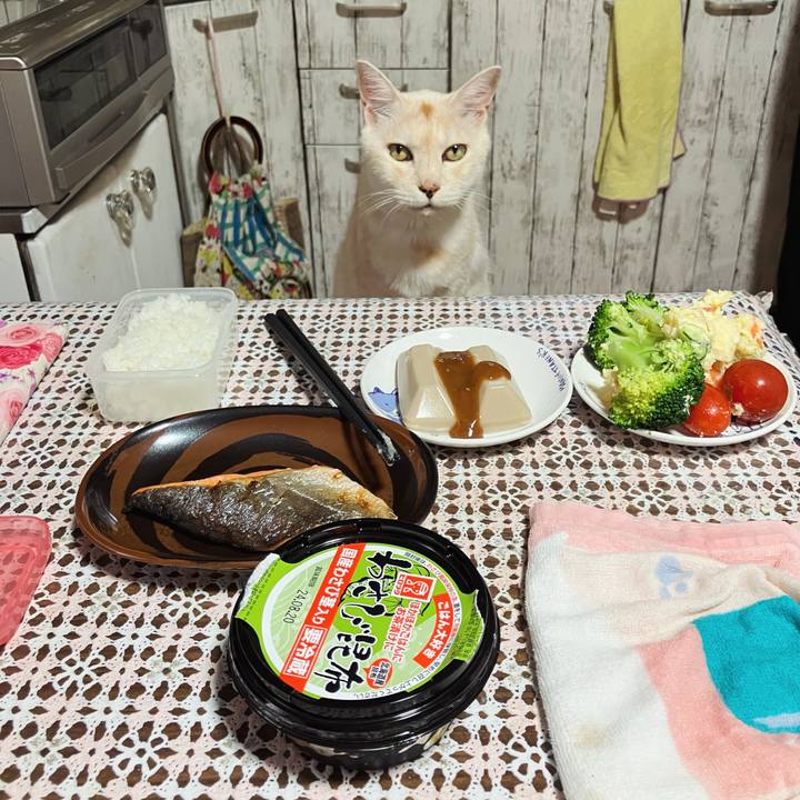 D3168a21 d347 4f76 9fc6 6c5e8d257f54 1721989621386