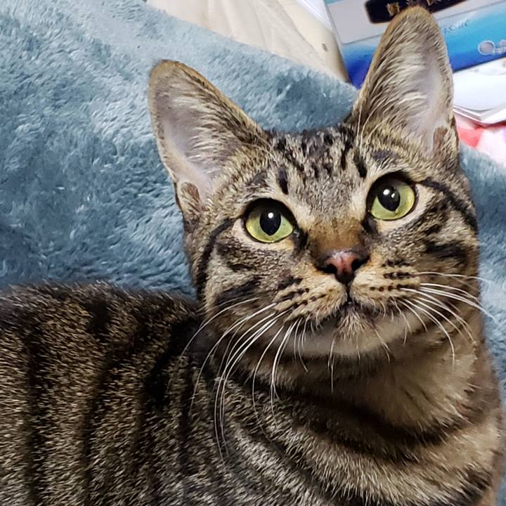 D316954f 5219 410b 9245 a70f741ab4d1 1550765992735