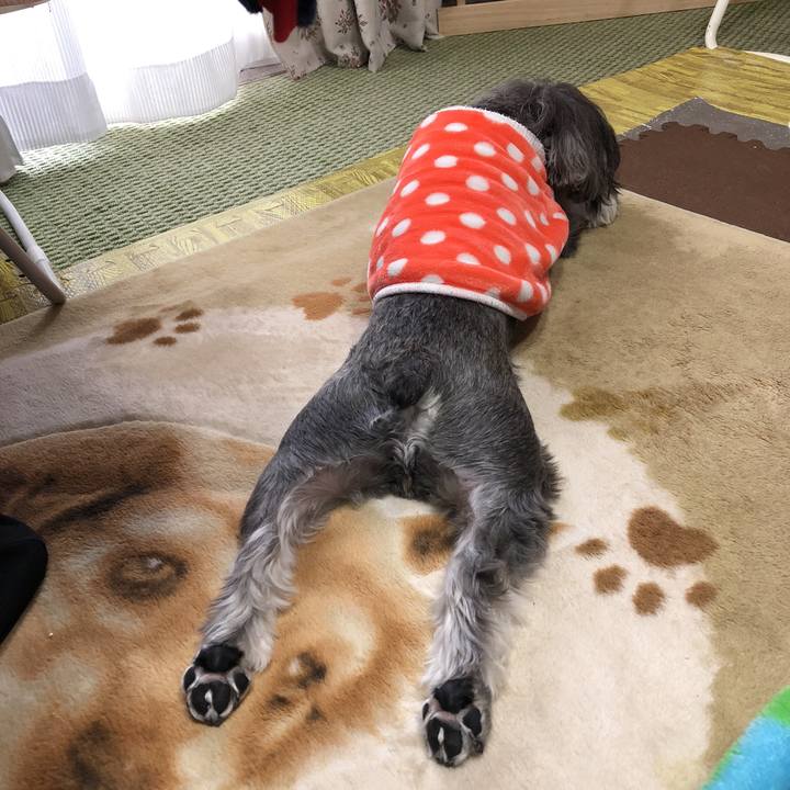 D316ab53 4ad9 40fa 8bae d5591df0b304 1518841193097