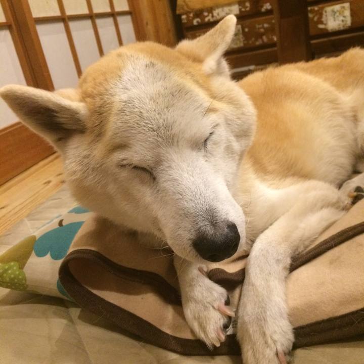 D316b835 b521 4c52 a8fd 15b1f3d3ff2e 1587134714204