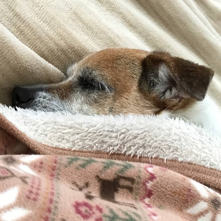 D316da56 147a 4d3a a31c 25b62d7c390c 1607608818175