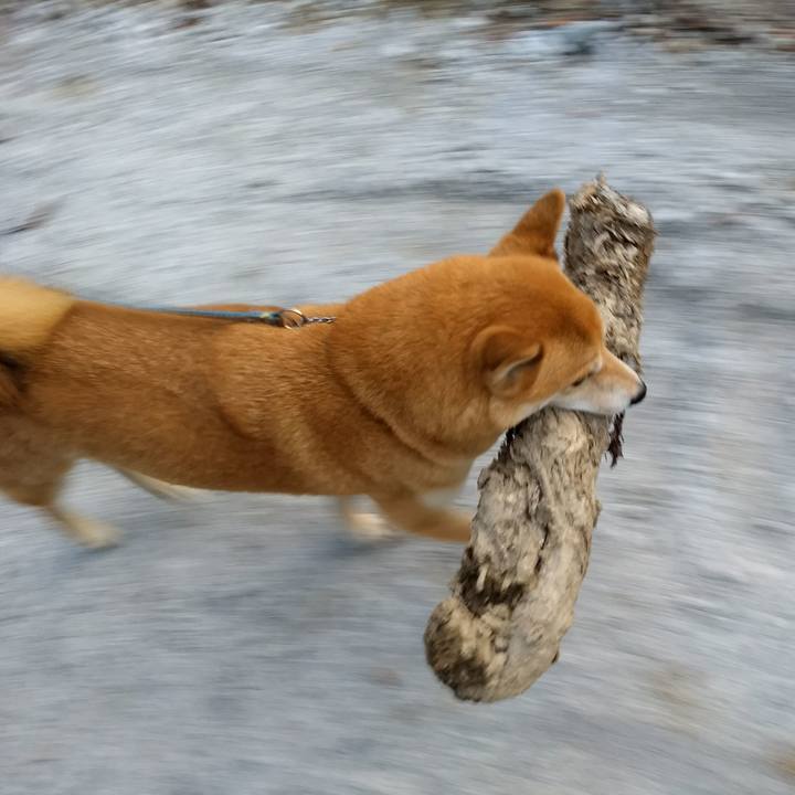 D3173d47 dbb9 4da2 93c9 fd205744ca44 1542802123861